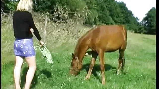 كبير كوغار مفلس الملاعين سكس اخوات محارم مترجم نمط راعية البقر العكسي