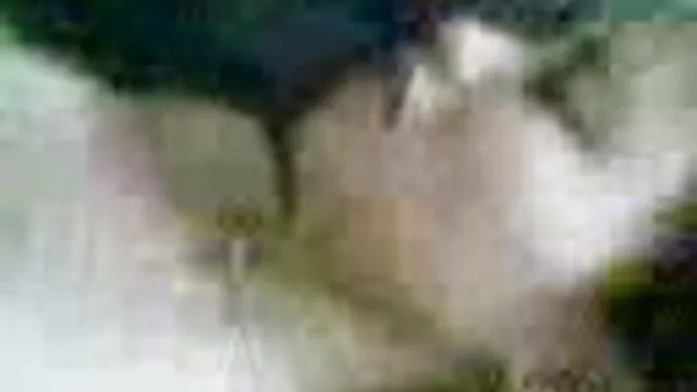 عميل اليوغا MILF يحاول الخدمات الجنسية في افلام سكس اخوات مترجم MFF ثلاثي الأطراف