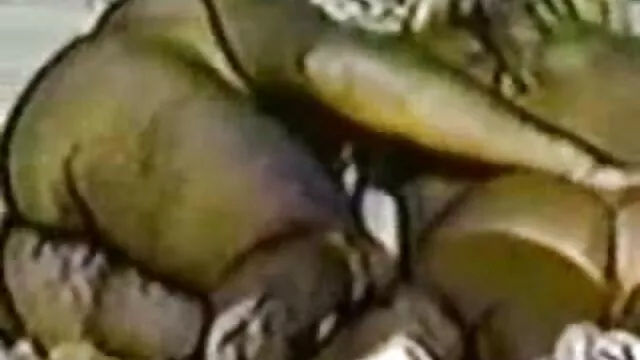 تم حفظ الأخت غير الشقيقة فيوليت رين باستخدام سكس اخوات مترجم للعربية معدات التجسس